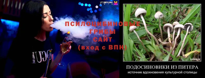 Псилоцибиновые грибы Magic Shrooms  Великие Луки 